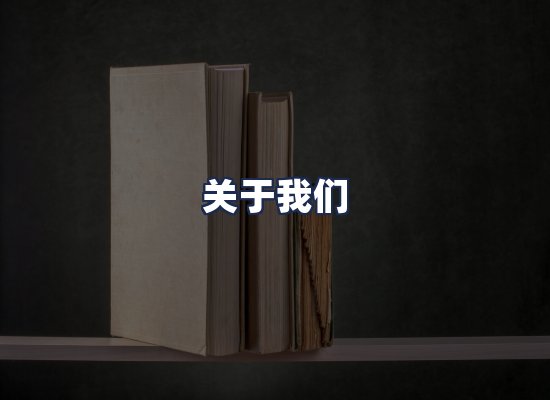 关于我们